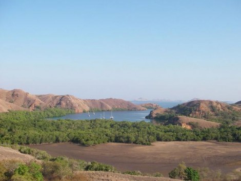 Visiting Komodo Island in Indonesia